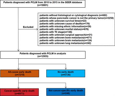 Risk factors and predictive nomograms for early death of patients with pancreatic cancer liver metastasis: A large cohort study based on the SEER database and Chinese population